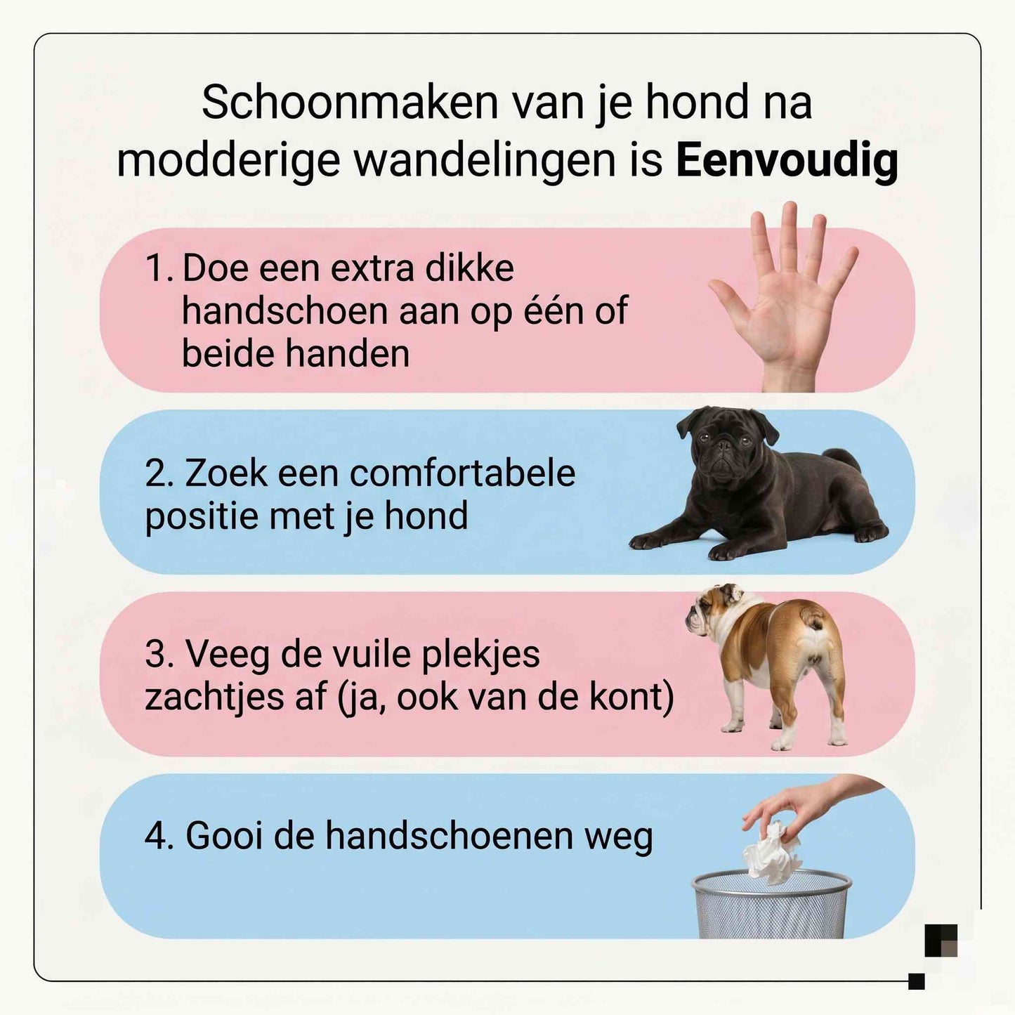 SnelSchoon Handschoenen