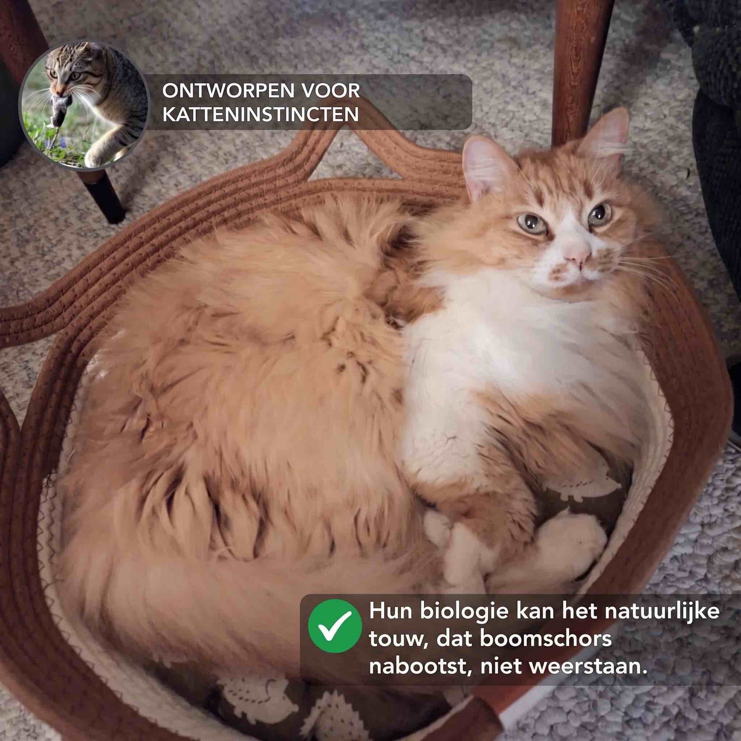 Instinct Mand | Het eerste wetenschappelijk onderbouwde territorium voor binnenkatten.