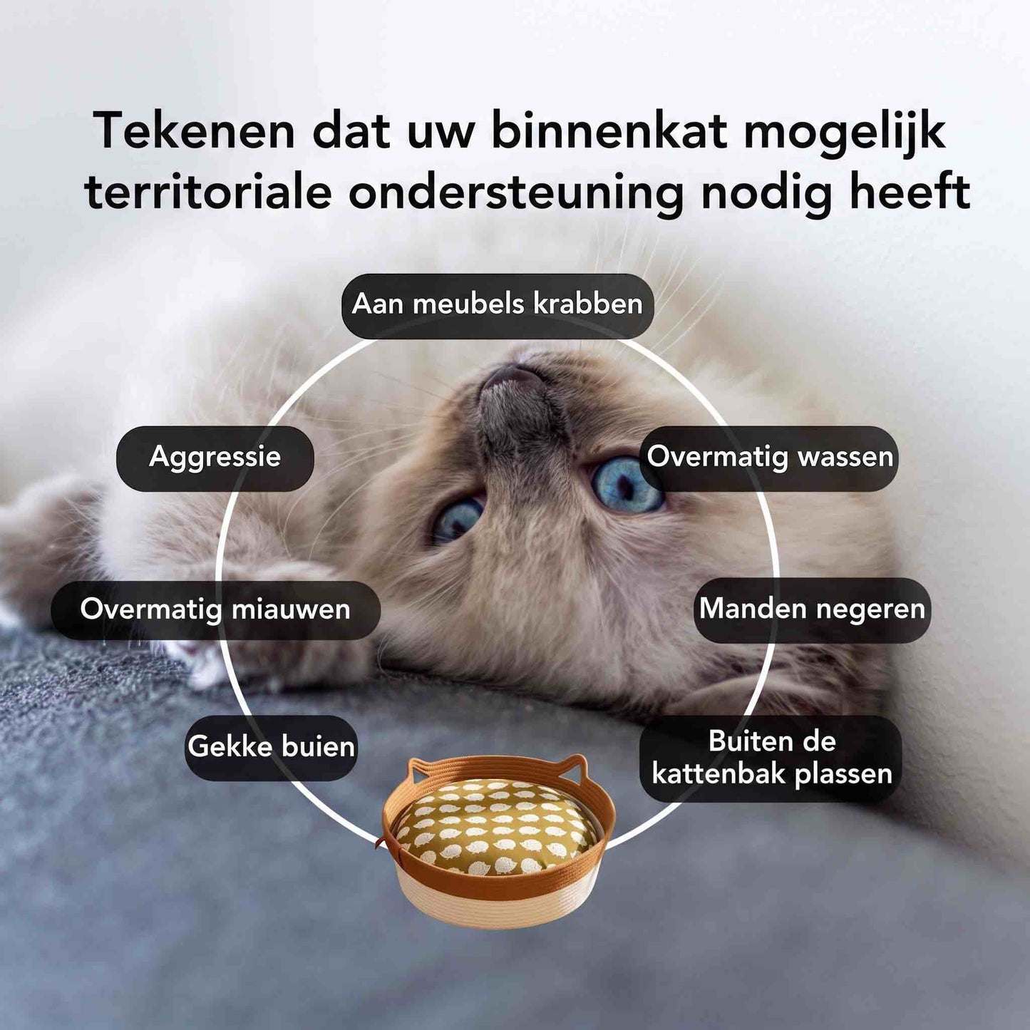 Instinct Mand | Het eerste wetenschappelijk onderbouwde territorium voor binnenkatten.