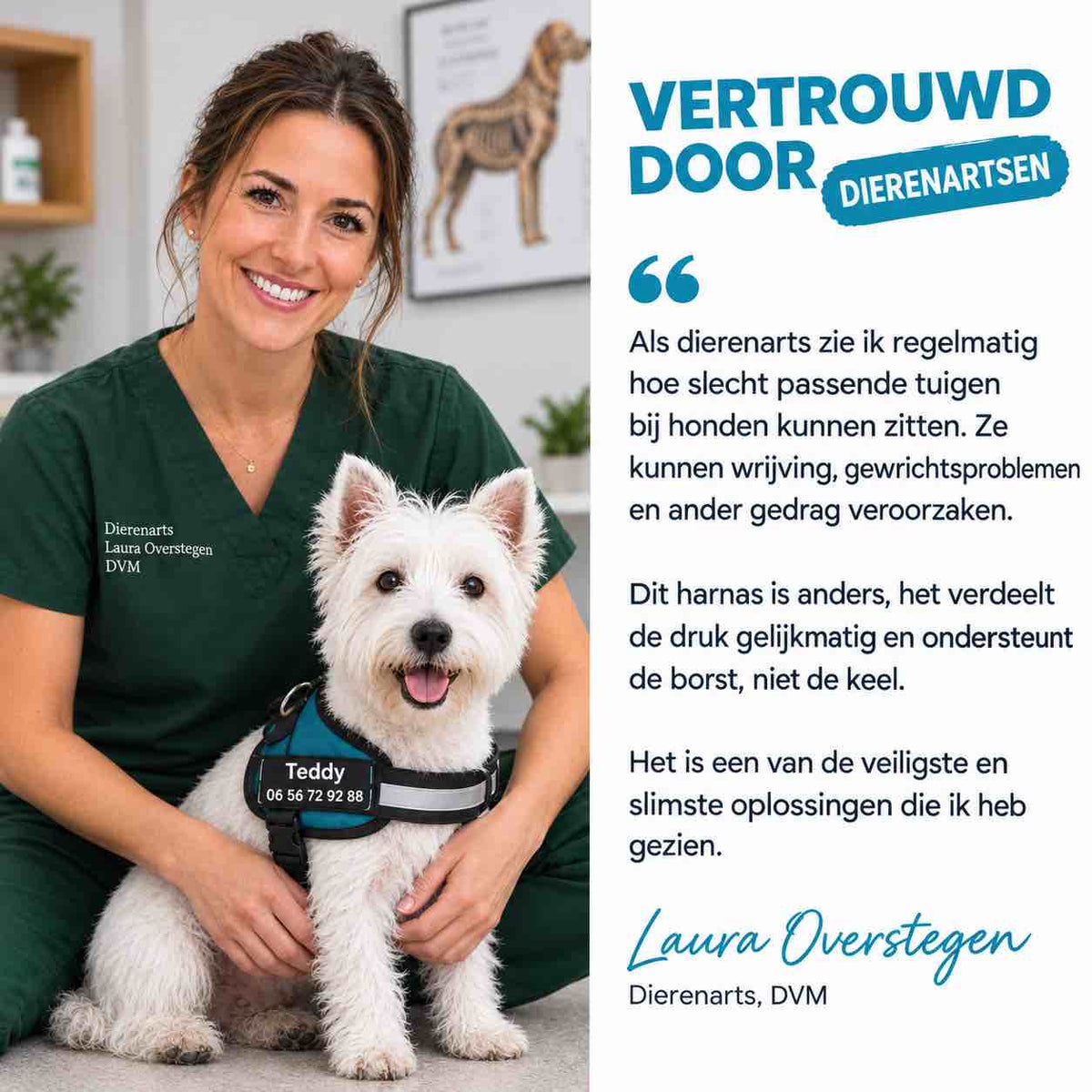Gepersonaliseerd Anti-Trek Tuigje