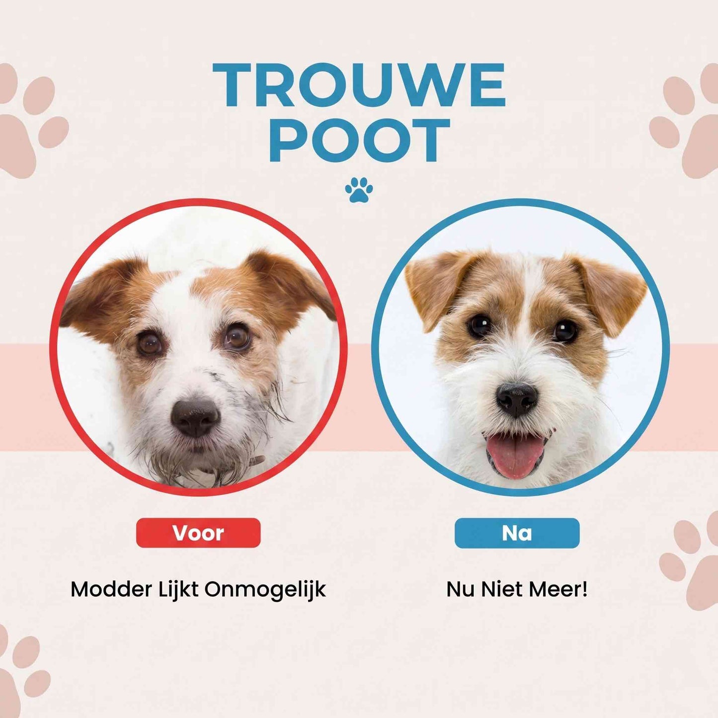 Trouwe Poot - SnelSchoon Handschoenen
