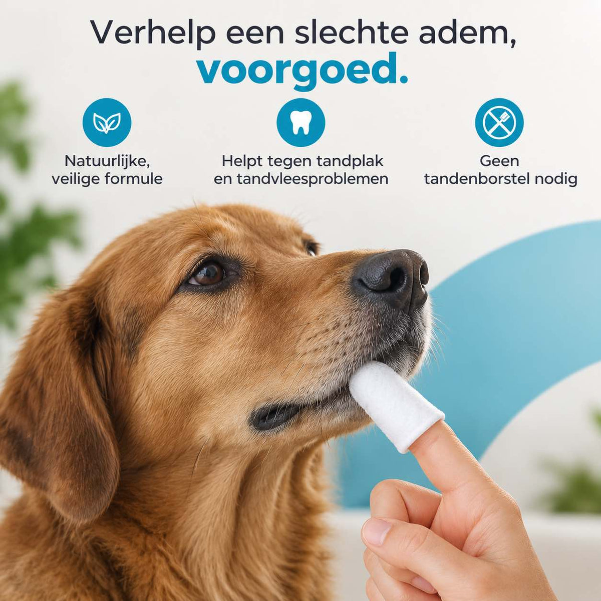 Tandenreiniging Vingerdoekjes