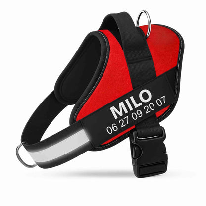 Gepersonaliseerd Anti-Trek Tuigje