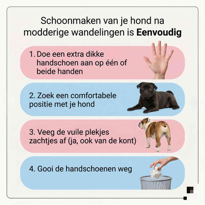 Trouwe Poot - SnelSchoon Handschoenen