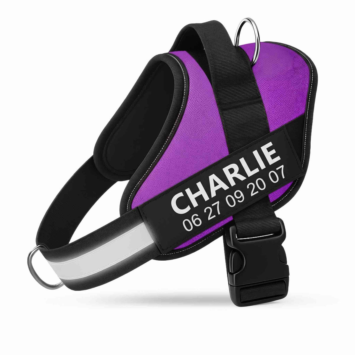 Gepersonaliseerd Anti-Trek Tuigje