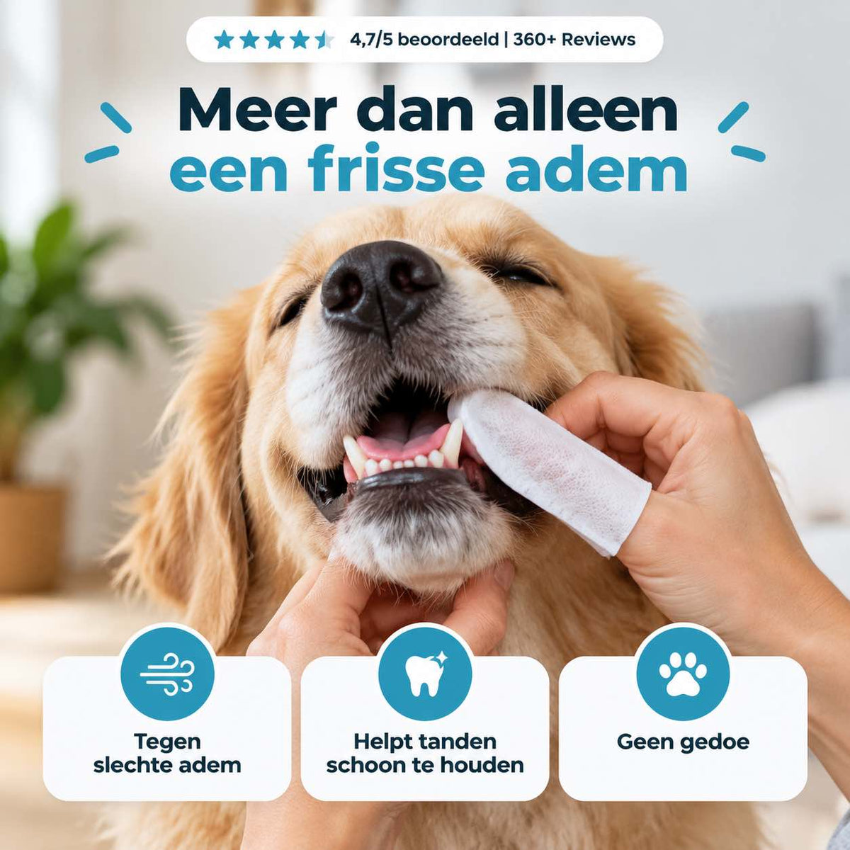 Tandenreiniging Vingerdoekjes
